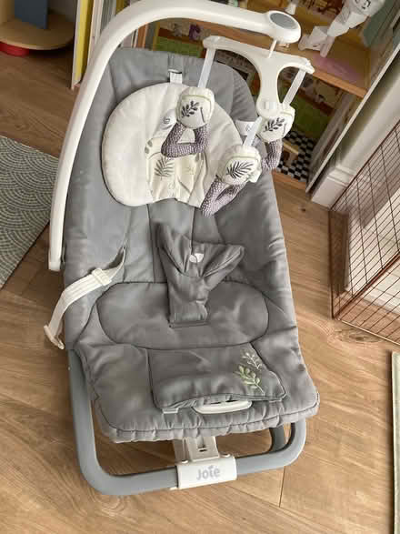 Photo of free Baby bouncer (Eltham SE9) #1