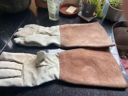 Photo of free Women’s leather gardening gloves (BT10) #2