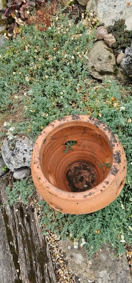 Photo of free Terracotta strawberry planter (Horsham, RH13) #3