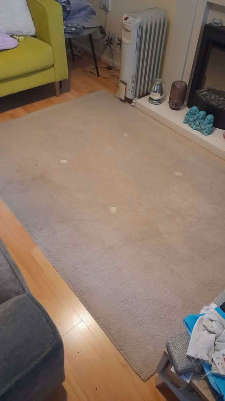 Photo of free Cream Rug (Chaddesden DE21) #1