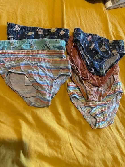 Photo of free 8 pairs of boys underpants age 2-3 years (NW10) #1