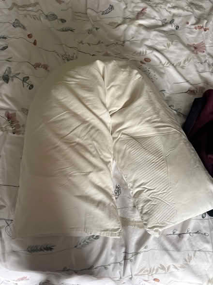Photo of free V shape pillow and cover (Grafton, Shrewsbury) #1