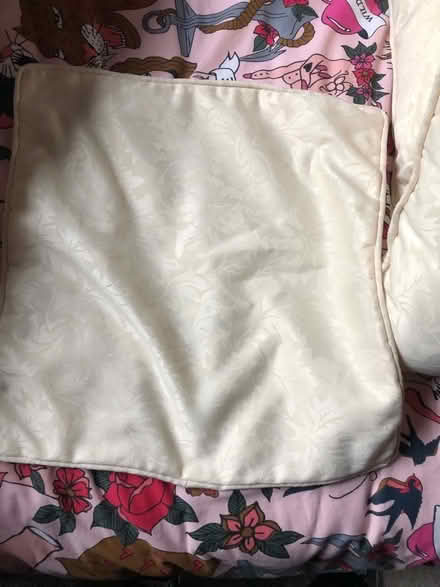 Photo of free Cushion cream (Gracemount EH17) #4