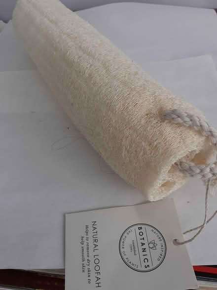 Photo of free Natural loofah (Styvechale, Coventry) #1
