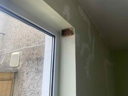 Photo of free Wooden Venetian Blind (Rathfarnham) #3