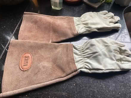 Photo of free Women’s leather gardening gloves (BT10) #1