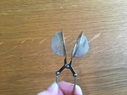 Photo of free Tea Infuser (Berkhamsted HP4) #3
