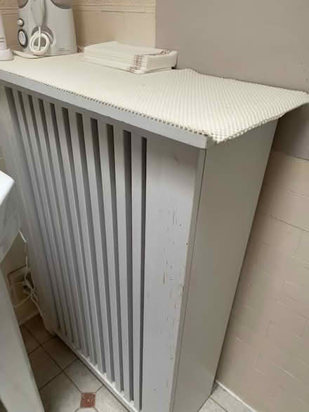 Photo of free radiator coverage (D St. and 6th St. NE) #2