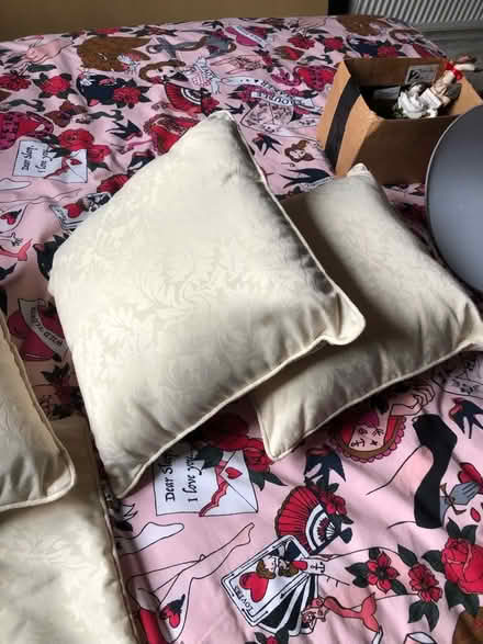 Photo of free Cushion cream (Gracemount EH17) #2