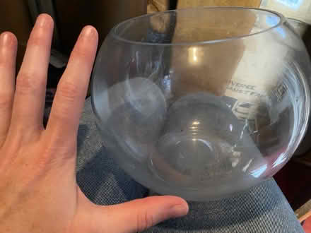 Photo of free bowl vase (North fort st EH6) #2