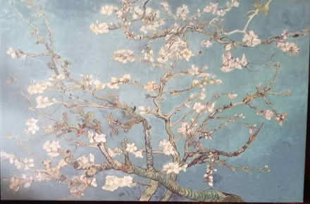 Photo of free Canvas print (Benhilton SM1) #1