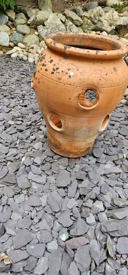 Photo of free Terracotta strawberry planter (Horsham, RH13) #4