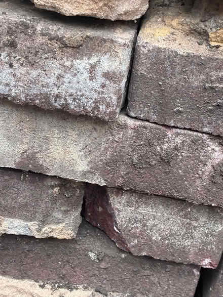 Photo of free Vintage bricks (Trinity Frome) #3