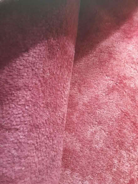 Photo of free Carpet (Enfield EN2) #1