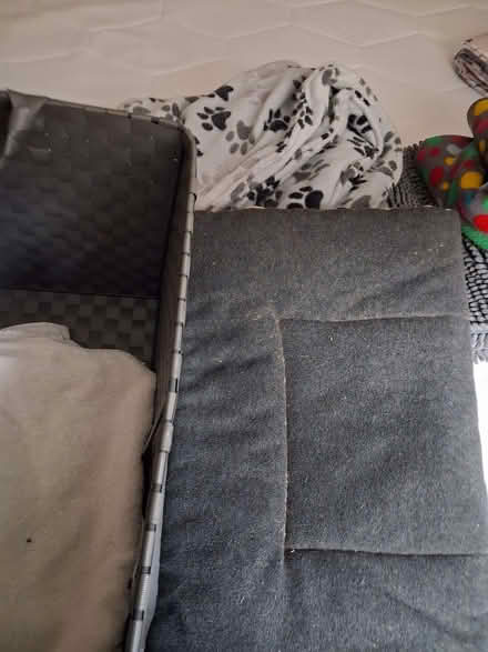 Photo of free Dog stuff (High Brooms TN4) #3