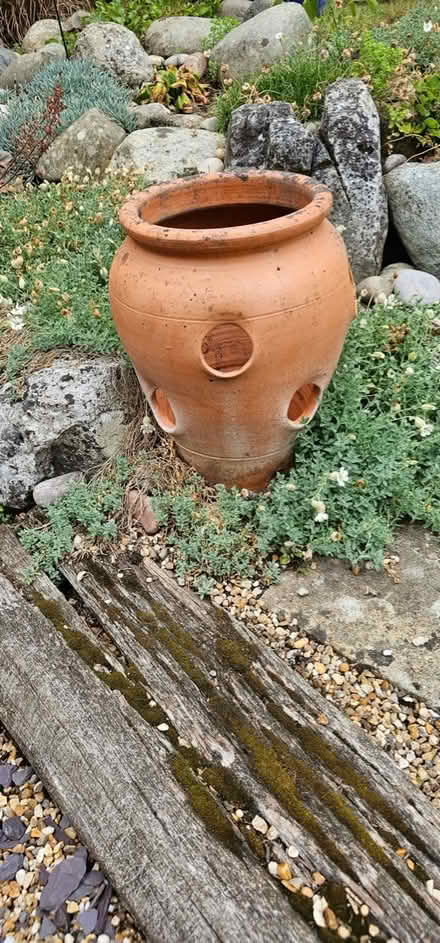 Photo of free Terracotta strawberry planter (Horsham, RH13) #2