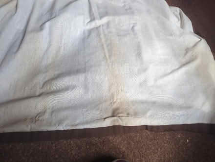 Photo of free Pair of curtains (Sheffield S12) #4