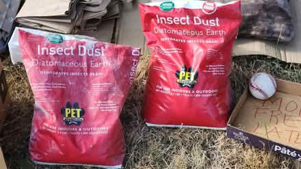 Photo of free 1.5 bags of diatomaceous earth (Maple Leaf) #1