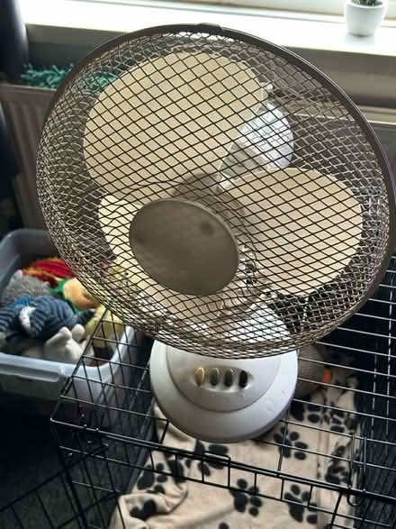 Photo of free Desk fan (Arbourthorne S2) #1