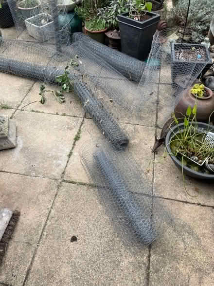 Photo of free Chicken wire (Clapham, Bedford) #1