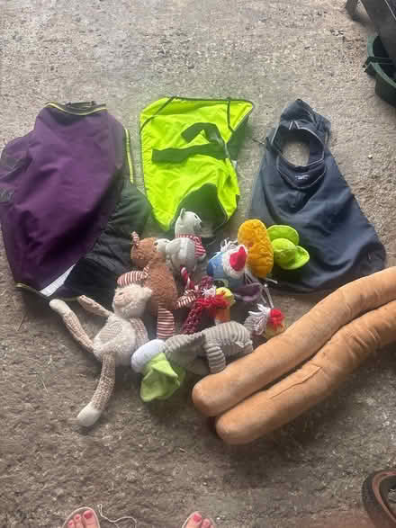 Photo of free Dog coats and toys (Euxton PR7) #1