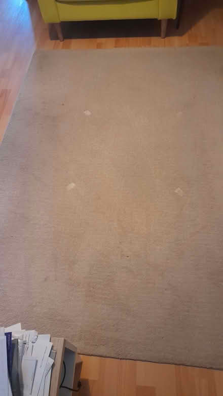 Photo of free Cream Rug (Chaddesden DE21) #2