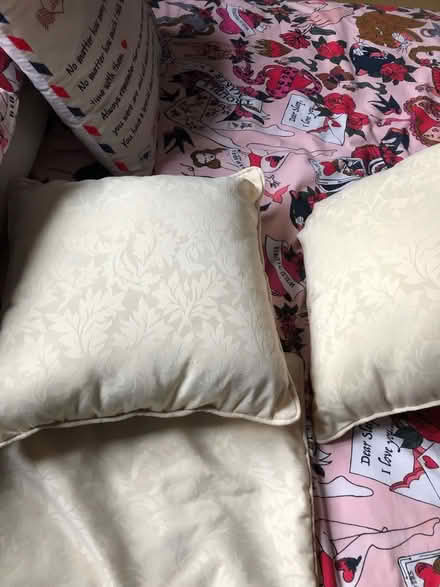 Photo of free Cushion cream (Gracemount EH17) #1