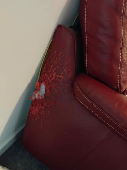 Photo of free 2 and 3 Seater Sofas (Harpur Hill SK17) #1