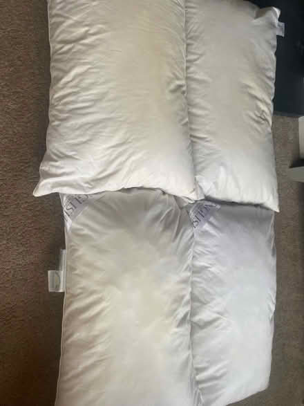 Photo of free X4 pillows (Worcester) #1
