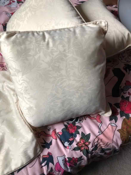 Photo of free Cushion cream (Gracemount EH17) #3