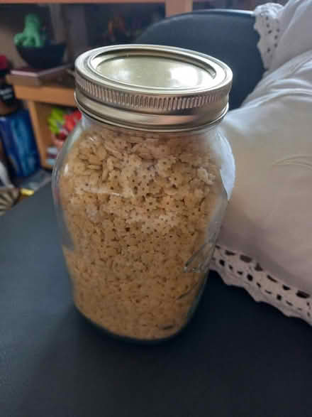 Photo of free Tiny Pasta / ORZO (Collyhurst M40) #1