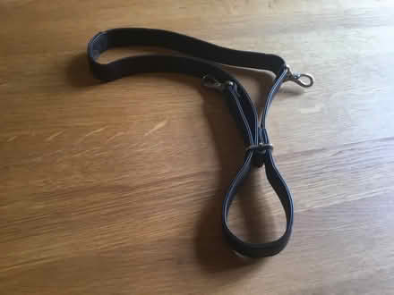 Photo of free Leather handbag strap (Berkhamsted HP4) #2