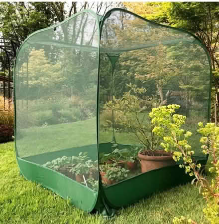 Photo of free Pop up plant protection (Clapham, Bedford) #1
