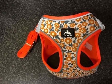 Photo of free Pet harness (Cambridge CB1) #2