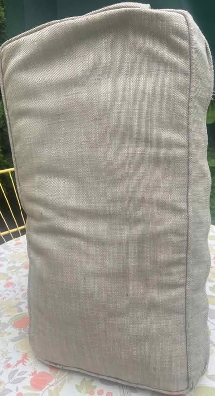 Photo of free Cushions (Ardmore) #3