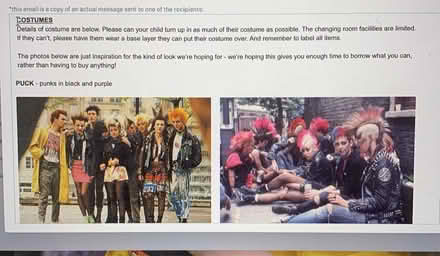 Photo of Punk costume (BN2) #1