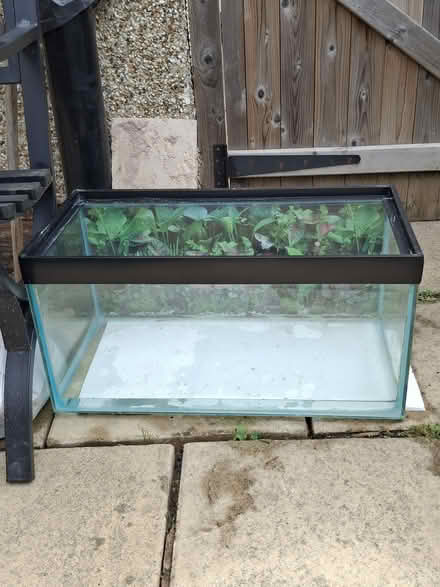 Photo of free Fish tank (Lancaster - Newmarket Avenue) #1