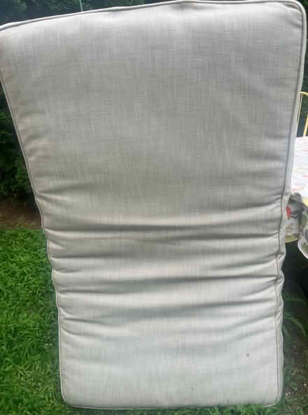 Photo of free Cushions (Ardmore) #1