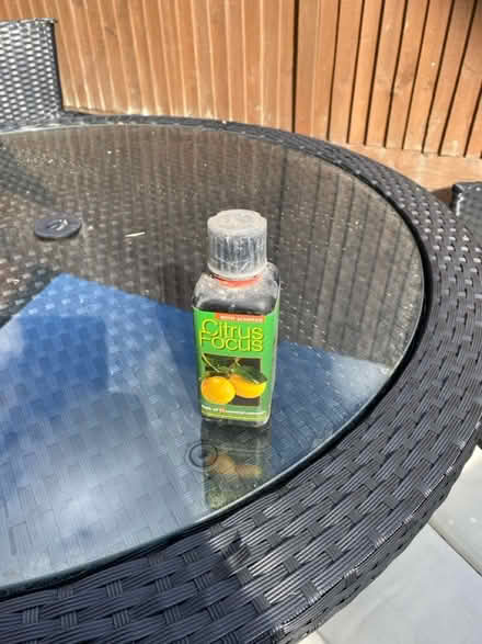 Photo of free Citrus plant food (Dorking Town Centre RH4) #1