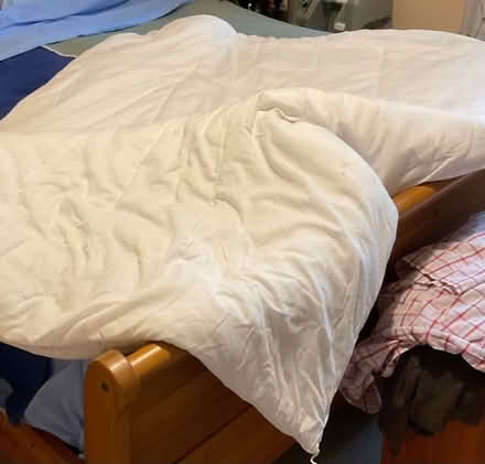 Photo of free Single 13.5 tog duvet. (Link Common WR14) #1