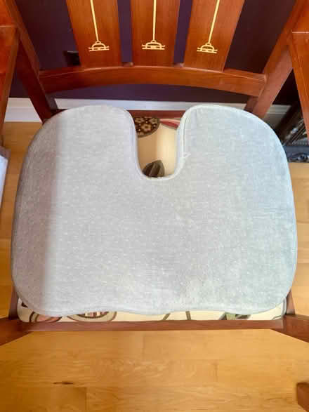 Photo of free Foam Seat Cushion (Gilmore St & Mountain View Ave) #1