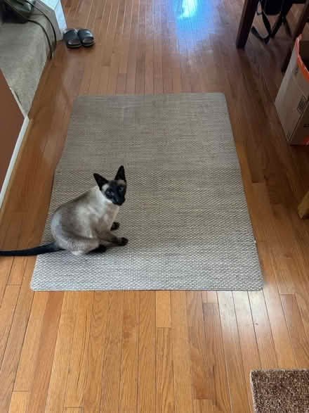 Photo of free Floor mat for desk chair (Fairland/Burtonsville, MD) #2