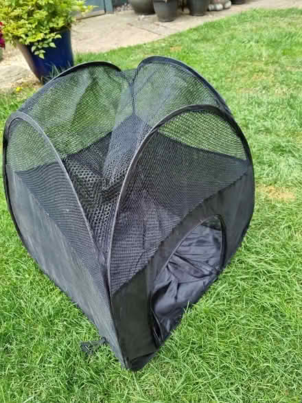 Photo of free Outside shade for rabbit (Salph End MK41) #1