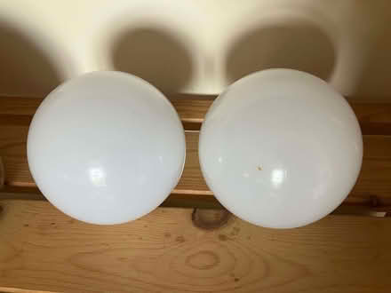 Photo of free Two LED large round lightbulbs, large screw fitting, 16.5W (Eskbank EH22) #1