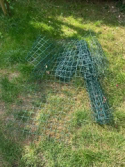 Photo of free Some small bits of trellis (Haringey ladder N8) #1