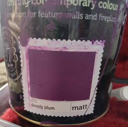 Photo of Wilko Statement Paint (Bentilee ST2) #1