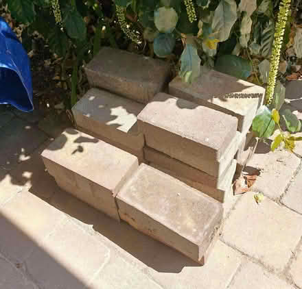 Photo of free New bricks/paving blocks (Aldrington BN3) #1