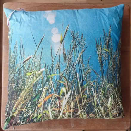Photo of free Cushion with tasteful photograph of summery meadow (Bishopston BS7) #1
