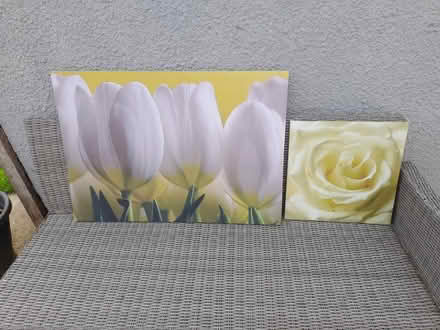 Photo of free 2 flower pictures (Yeovil) #1
