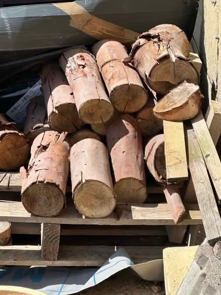 Photo of free Well seasoned Eucalyptus logs for outside use in a fire tip (Pitchcombe GL6) #2